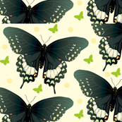 swallowtailart
