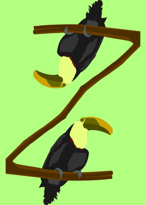 Parrots