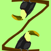 Parrots