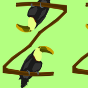Parrots
