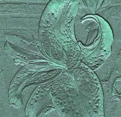 Stargazer_lily_pattern_c