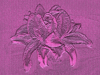 group_lily_pattern_a