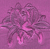 group_lily_pattern_a