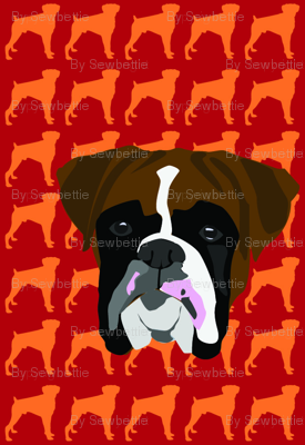 Boxer Fabric