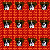 Boxer Fabric