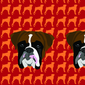 Boxer Fabric