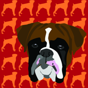 Boxer Fabric
