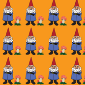 Gnomes