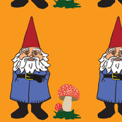 Gnomes
