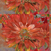 Orange_dahlia_d