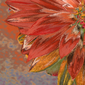 Orange_dahlia_d