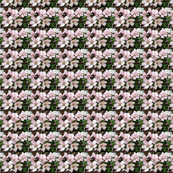 flowering plum