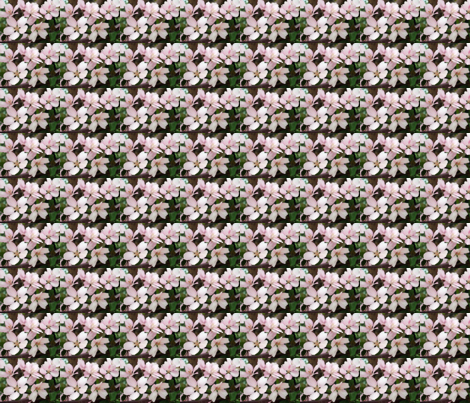 flowering plum