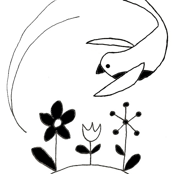 bird_2