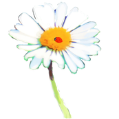 ladybugondaisy