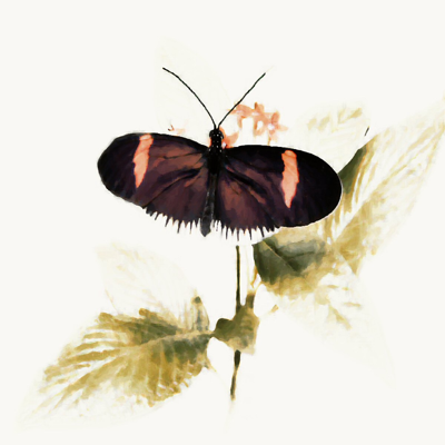 vintagebutterflypainting