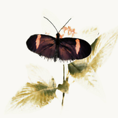 vintagebutterflypainting