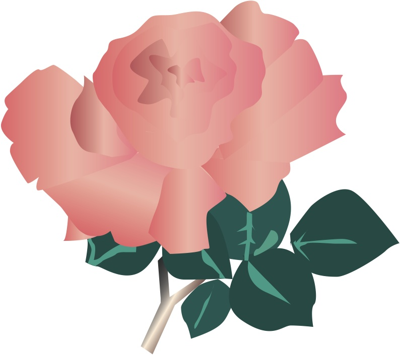 Rosa