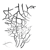 CrackleBLACK