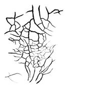 CrackleBLACK