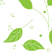 Leaves-Crisp