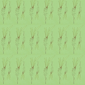 carrots_duplicated_edited-1