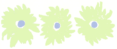 daisylime