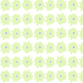 daisylime