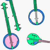 More Mandolins and Banjos Green