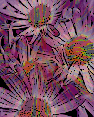 flowerexplosion