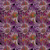 flowerexplosion