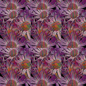 flowerexplosion