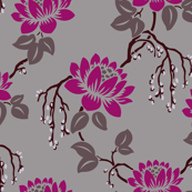 Magenta_Lotus