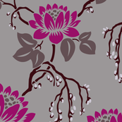 Magenta_Lotus