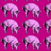 Pigpink_shop_thumb