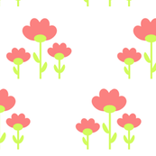 pink flowers
