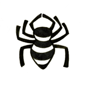 spider