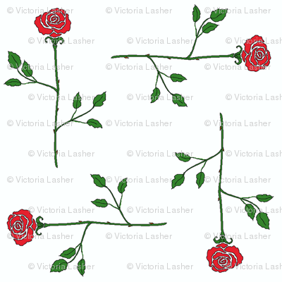 scattered_longstem_roses