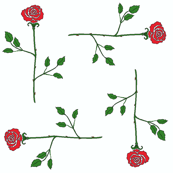 scattered_longstem_roses
