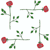 scattered_longstem_roses
