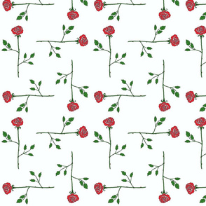 scattered_longstem_roses