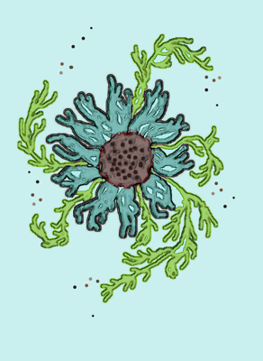 blue_flower