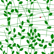 vll_little_leaves