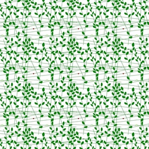 vll_little_leaves