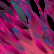 Feathers