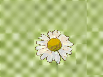 little_daisy