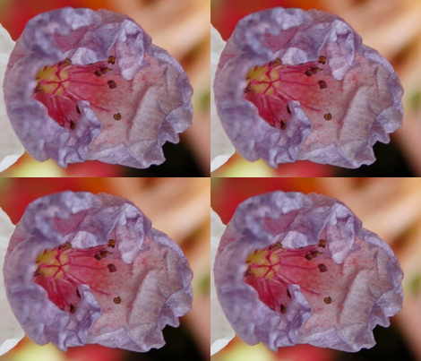 DSC_0358 fabric by ingermaaike on Spoonflower - custom fabric