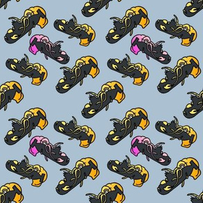 squidprint