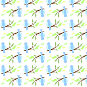 BlueBirds-ed