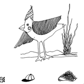 CARDINAL_hats